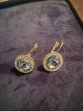 Blue Crystal Halo Drop Earrings